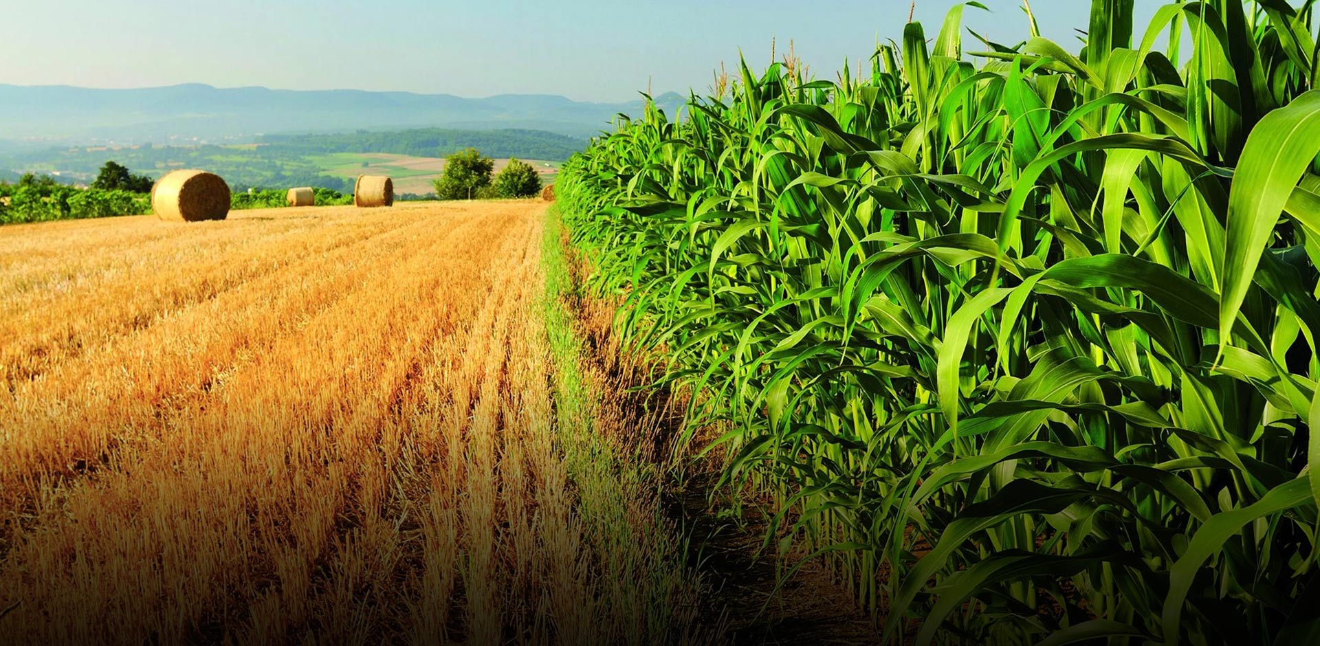 Wenling Guanfeng ระบบเครื่องกลไฟฟ้า Co., Ltd.